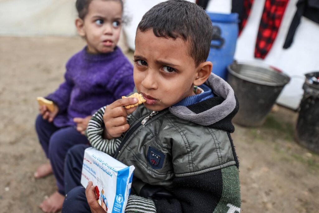 WFP food assistance in Gaza