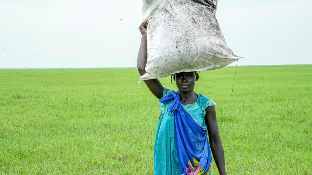 WFP airdrops food in South Sudan