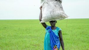 WFP airdrops food in South Sudan