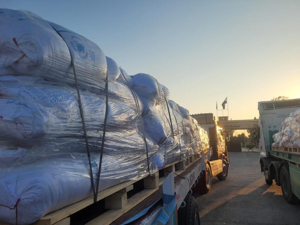 Wheat flour delivery in Gaza