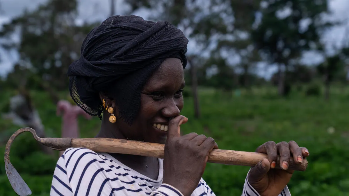Partnerships for Resilience- Supporting Faster Recovery for Farmers After Climate Shocks